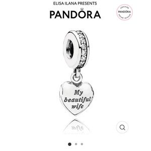 My Beautiful Wife Pandora Charm Bangle